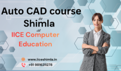 AutoCAD course in Shimla Free AutoCAD course in Shimla Best AutoCAD course in Shimla AutoCAD course in Shimla fees CAD DISK shimla