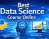 Data science course online at IICE Computer Education Shimla with practical training
