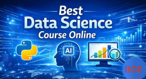 Data science course online at IICE Computer Education Shimla with practical training