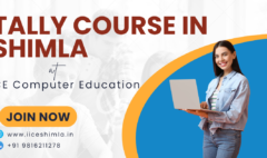 tally course in shimla tally with GST course in shimla tally prime course in shimla Tally course in shimla fees Best tally course in shimla