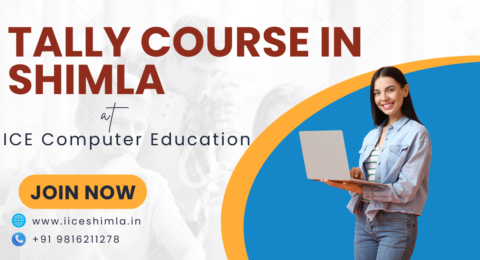 tally course in shimla tally with GST course in shimla tally prime course in shimla Tally course in shimla fees Best tally course in shimla