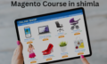Magento Course in shimla