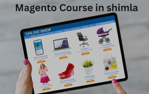 Magento Course in shimla