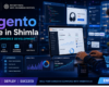 Magento Course in Shimla