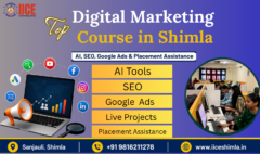 Top Digital Marketing Course in Shimla