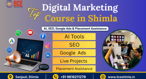 Top Digital Marketing Course in Shimla