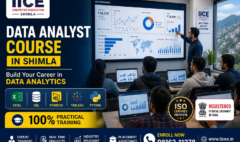 Data Analyst Training in Shimla