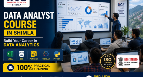 Data Analyst Training in Shimla