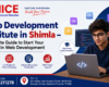 Web Development Institute in Shimla