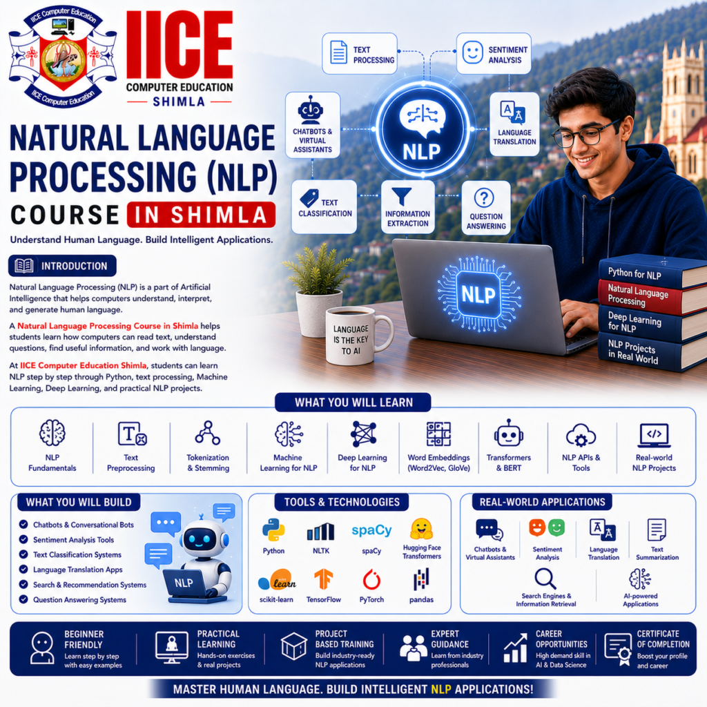 Natural Language Processing Course