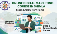 Online Digital Marketing Course in Shimla.