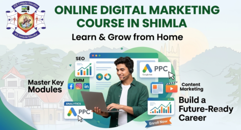 Online Digital Marketing Course in Shimla.