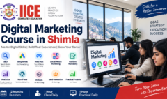Digital Marketing Course in Shimla